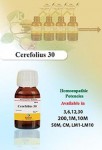 CEREFOLIUS