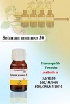 SOLANUM MAMMOS