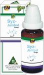 SYZ JAMBOL