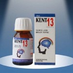 KENT NO 13 NERVE & BRAIN