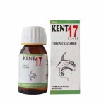 KENT NO 17 SINUSITIS