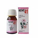 KENT NO 41 CORN & CELLULOSE