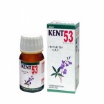 KENT NO 53 HEPATITIS A,B,E