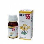 KENT NO 55 EPILEPSY