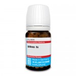 SILICEA 6X