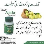 AMLA EMBELIA OFFICINALIS