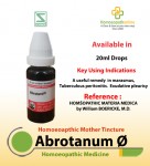 ABROTANUM
