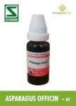 ASPARAGUS OFF