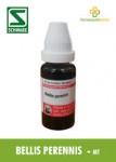 BELLIS PERENNIS