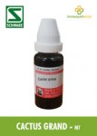 CACTUS GRAND