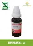 EUPHRASIA