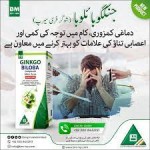 GINKO BILOBA SUGAR FREE