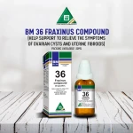 BM NO 36